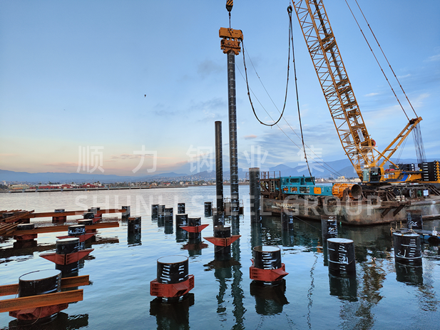Shunli ajuda a aumentar o progresso constante do projeto terminal multiuso de Hong Kong, China Merchants Port Holdings em Ensenada, México.