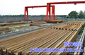 5yfg001.jpg